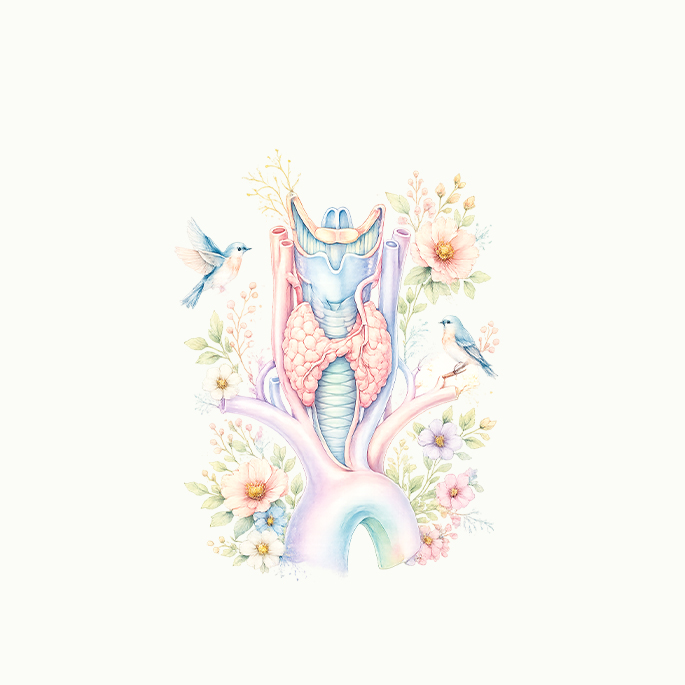 Hashimoto Thyroiditis