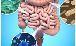 Gut health